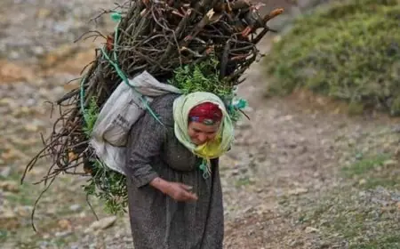 عندما تصبحين عجوزا في التسعين اجلبى الحطب من الجبال.عظامي ترتجف من البرد، اوقدي النار الآن،