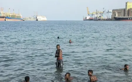 بين رصيف الباخرة والمياه العميقة.. قفزة جريئة أنقذت راكباً سودانيا من الغرق