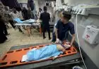 شهيد ومصابون جراء استهداف طائرات الاحتلال خيمة نازحين في دير البلح