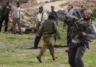 مستعمرون يهاجمون منازل المواطنين في قرية تل جنوب غرب نابلس
