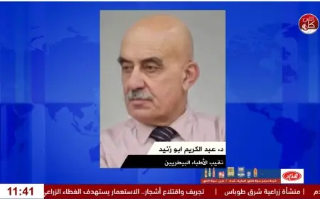 داء الكَلَب في فلسطين.. هل تكفي التحذيرات لمواجهة خطر الكلاب الضالة؟