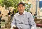 جرافات الاحتلال تقتلع 250 شجرة زيتون معمّرة لعائلة الراحل زكي العريدي في عرابة