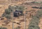 لاحتلال يقتلع عشرات أشجار الزيتون في جبع شمال شرق القدس