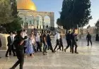 مستعمرون يقتحمون المسجد الأقصى