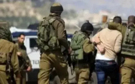 الاحتلال يعتقل مسنا وابنته من بلدة طمون