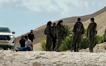 الاحتلال يعتقل شابا عقب مهاجمة مستعمرين مساكن المواطنين في يطا