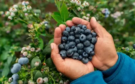 مفاجأة صحية.. عادات يومية بسيطة قد تضبط ضغط الدم وتحسّن ترطيب جسمك