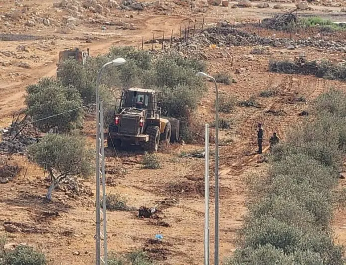 لاحتلال يقتلع عشرات أشجار الزيتون في جبع شمال شرق القدس