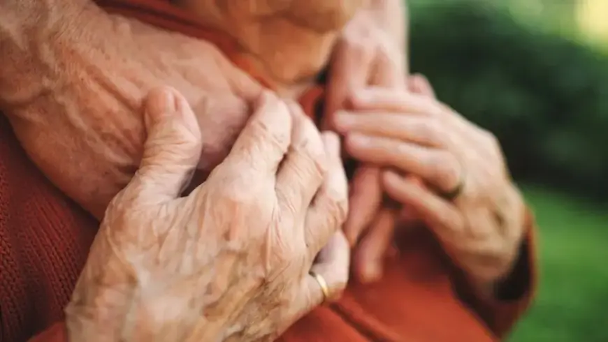 علماء يكتشفون.. الدماغ يستبدل خلاياه المناعية مع التقدم في السن