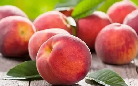 الخوخ وسكر الدم.. خطر خفي أم خيار صحي؟