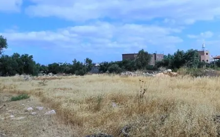 ثروات ضائعة في غفلة الإهمال