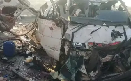 مصرع 10 أشخاص وإصابة 19 آخرين في حادث تصادم مروع بمصر