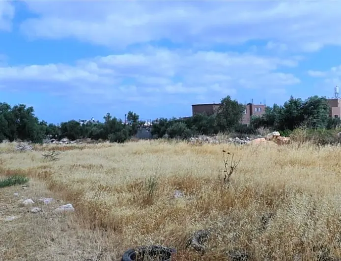 ثروات ضائعة في غفلة الإهمال