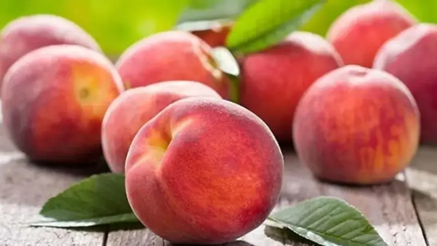 الخوخ وسكر الدم.. خطر خفي أم خيار صحي؟