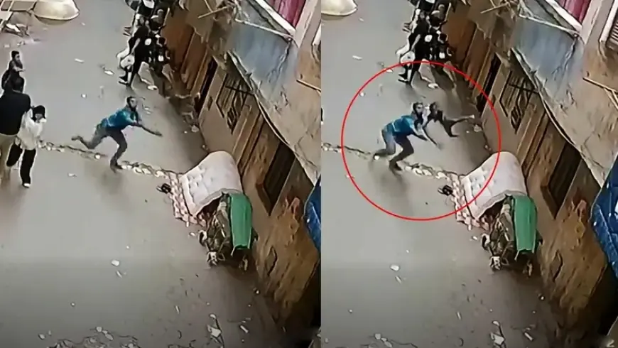 شاب ينقذ طفلاً سقط من الشرفة في مصر.. وفيديو يوثق اللحظات الحاسمة